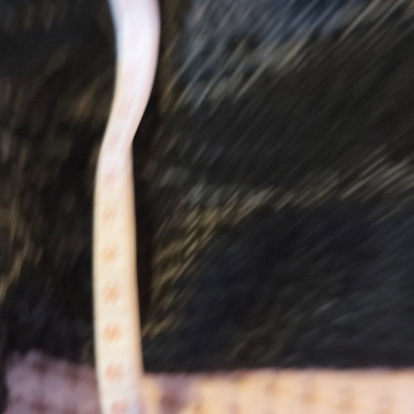 Woman's jacket - Picture 9 of 12